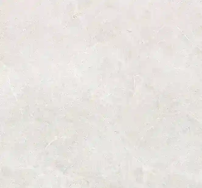 نئو کوارتز کد S310